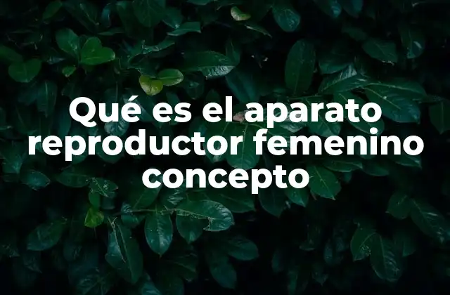 El sistema biológico detrás de la reproducción femenina