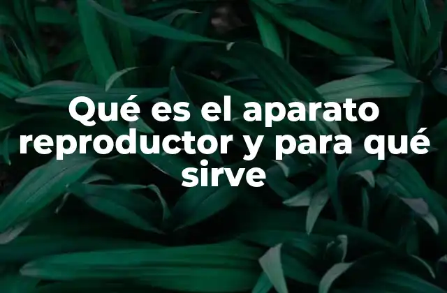 Qué es el Aparato Reproductor y para Qué Sirve