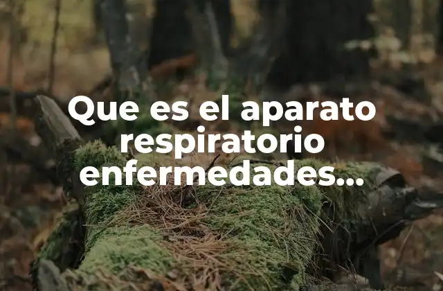 Que es el Aparato Respiratorio Enfermedades Animado