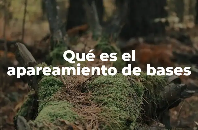 Qué es el Apareamiento de Bases