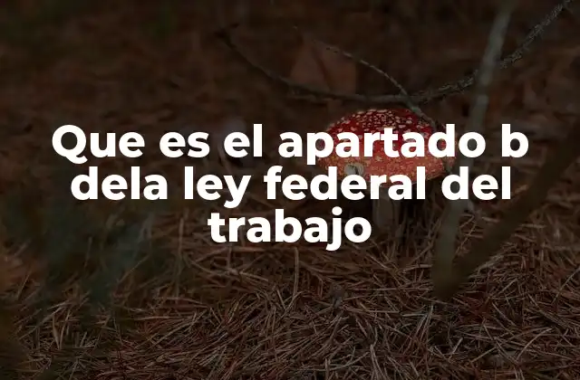 Que es el Apartado B Dela Ley Federal Del Trabajo