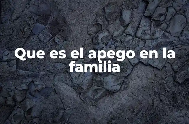 La importancia de la conexión emocional en el entorno familiar