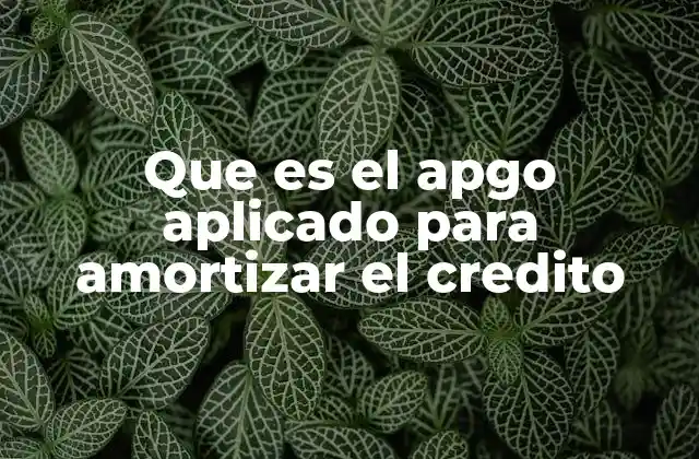 Que es el Apgo Aplicado para Amortizar el Credito