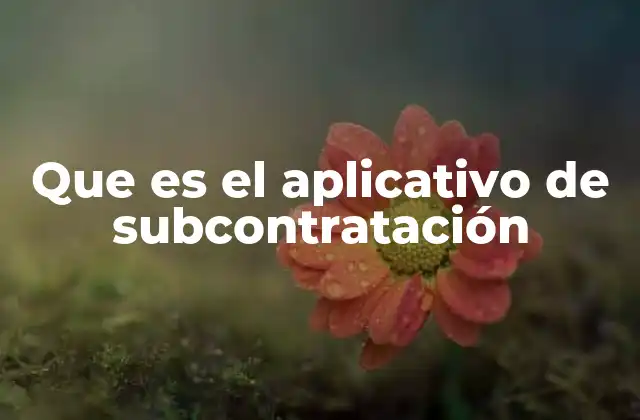 Que es el Aplicativo de Subcontratación