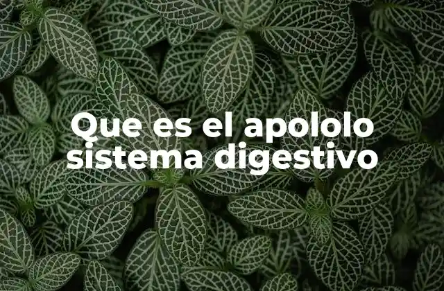 Que es el Apololo Sistema Digestivo