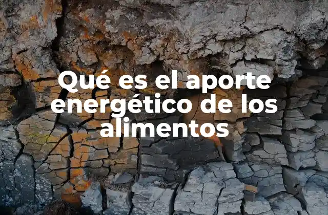 Qué es el Aporte Energético de los Alimentos