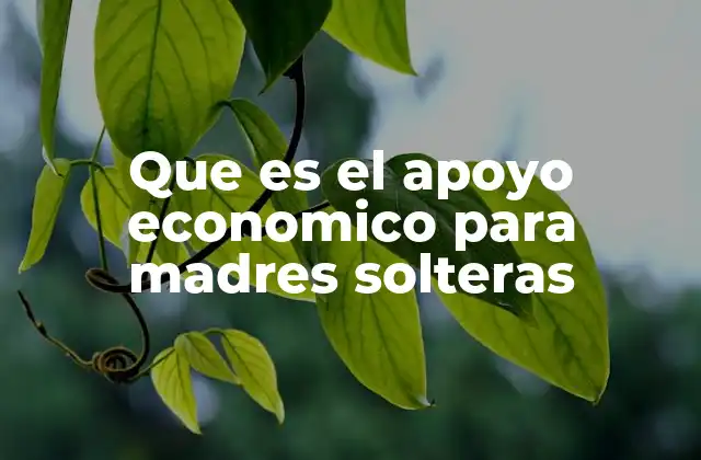 La importancia del apoyo económico en la estabilidad familiar