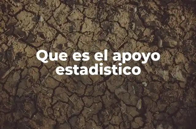 Que es el Apoyo Estadistico