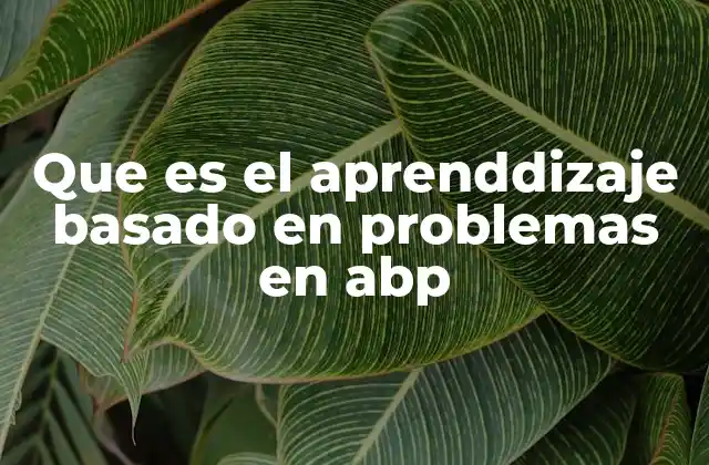 Que es el Aprenddizaje Basado en Problemas en Abp