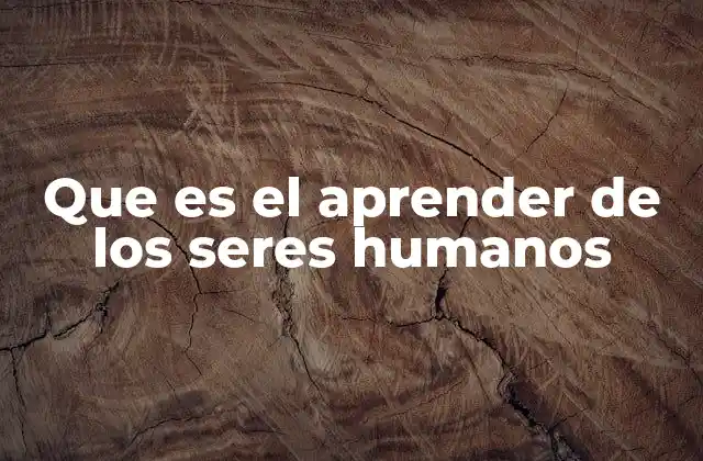 Que es el Aprender de los Seres Humanos