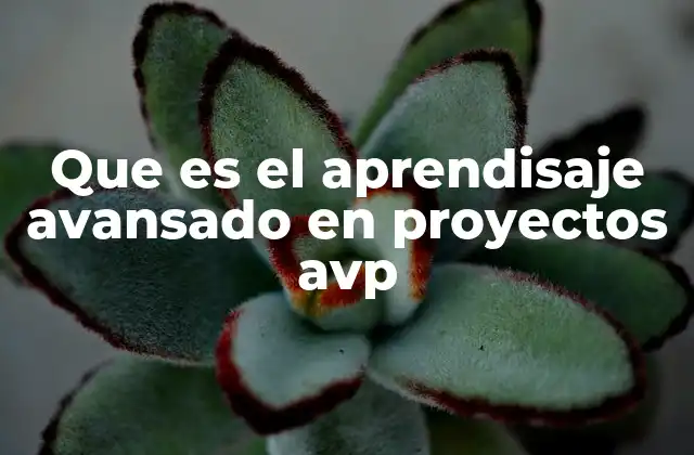 Que es el Aprendisaje Avansado en Proyectos Avp