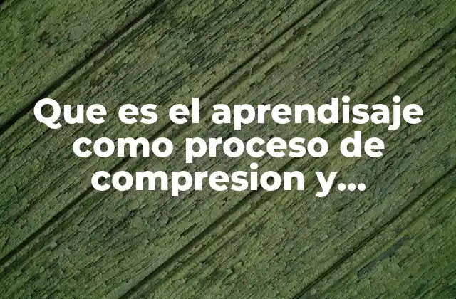 Que es el Aprendisaje como Proceso de Compresion y Asimilacion