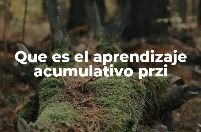 Que es el Aprendizaje Acumulativo Przi