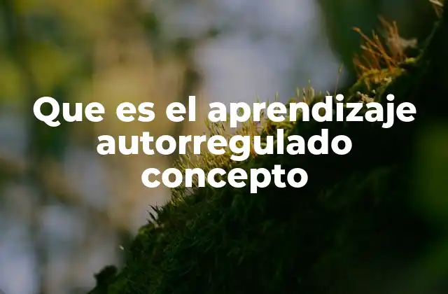 Que es el Aprendizaje Autorregulado Concepto