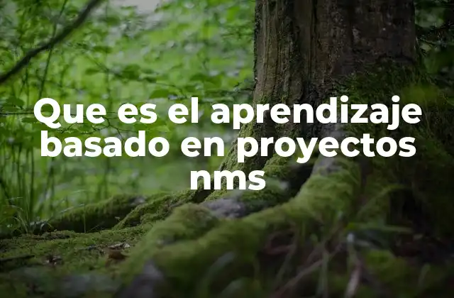 Que es el Aprendizaje Basado en Proyectos Nms