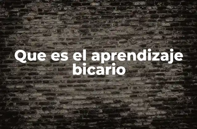 Que es el Aprendizaje Bicario