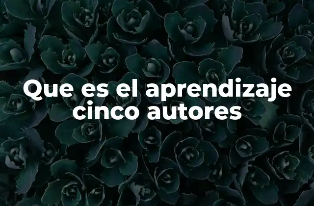 Que es el Aprendizaje Cinco Autores