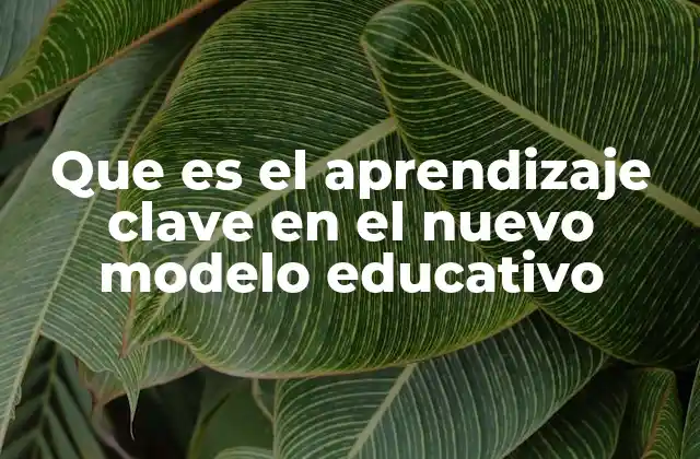 Que es el Aprendizaje Clave en el Nuevo Modelo Educativo