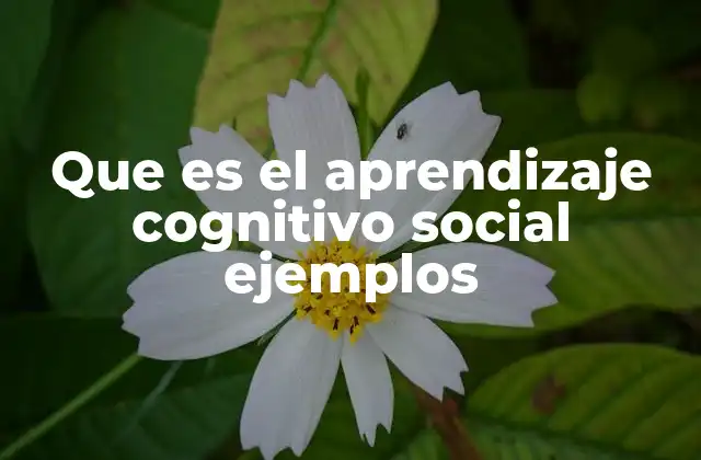 Que es el Aprendizaje Cognitivo Social Ejemplos