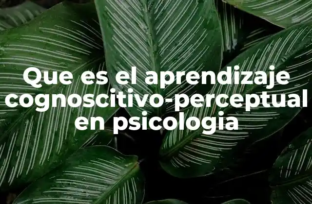 Que es el Aprendizaje Cognoscitivo-perceptual en Psicologia