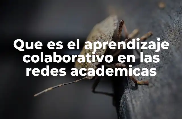 Que es el Aprendizaje Colaborativo en las Redes Academicas