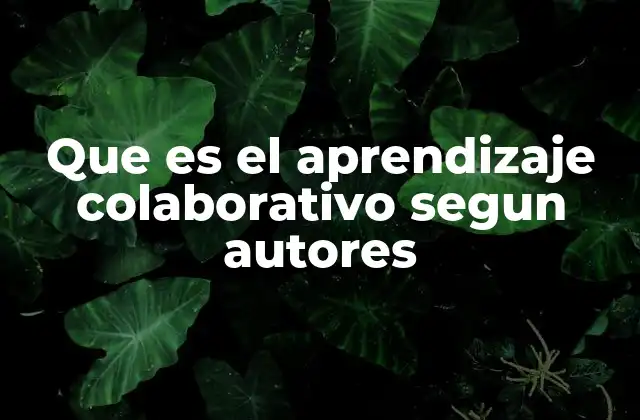 Que es el Aprendizaje Colaborativo Segun Autores