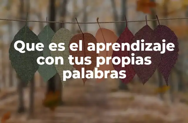 Que es el Aprendizaje con Tus Propias Palabras