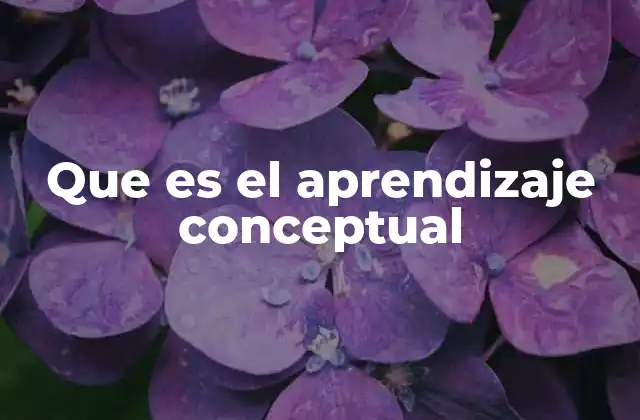 Que es el Aprendizaje Conceptual
