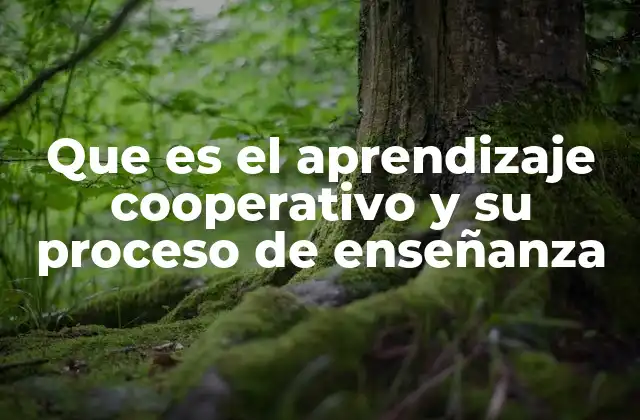 Que es el Aprendizaje Cooperativo y Su Proceso de Enseñanza 2 Cómo se implementa el aprendizaje cooperativo en el aula