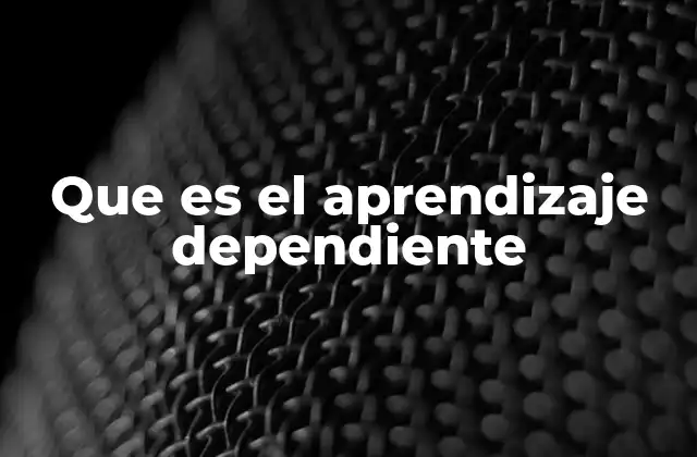 Que es el Aprendizaje Dependiente