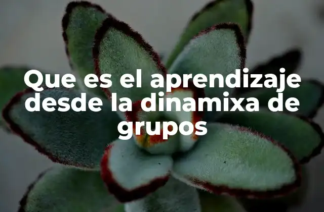 Que es el Aprendizaje desde la Dinamixa de Grupos