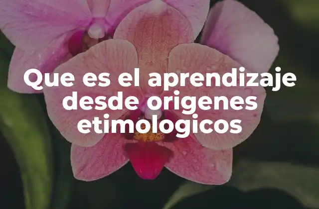 Que es el Aprendizaje desde Origenes Etimologicos