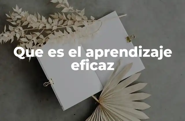 Que es el Aprendizaje Eficaz