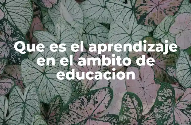 El proceso del aprendizaje en la educación formal