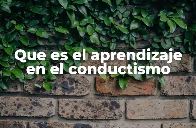Que es el Aprendizaje en el Conductismo