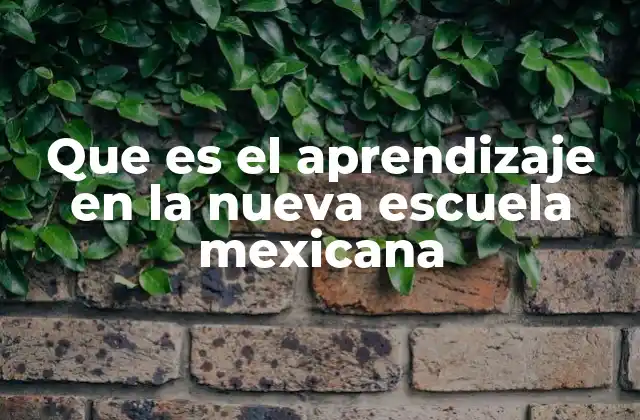 Cómo se transformó el aprendizaje en la educación mexicana