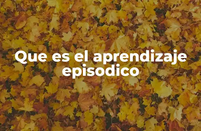 Que es el Aprendizaje Episodico