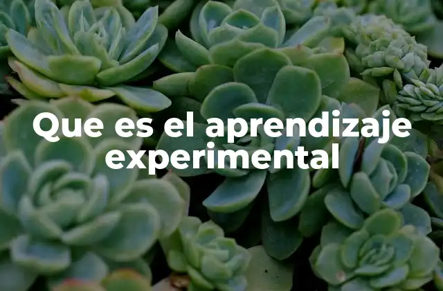 Que es el Aprendizaje Experimental 2 El aprendizaje basado en la experiencia
