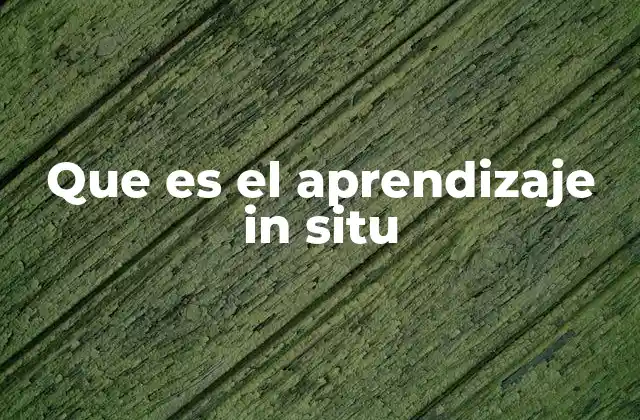 Que es el Aprendizaje In Situ