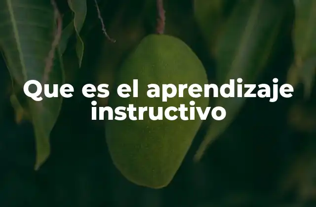 Que es el Aprendizaje Instructivo
