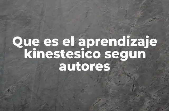 Que es el Aprendizaje Kinestesico Segun Autores