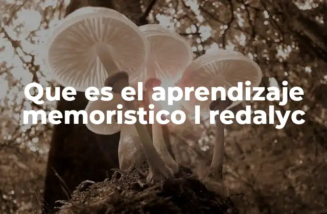 Que es el Aprendizaje Memoristico L Redalyc