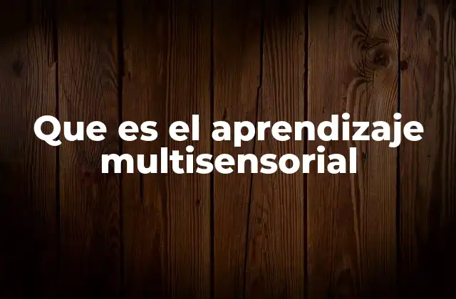 Que es el Aprendizaje Multisensorial