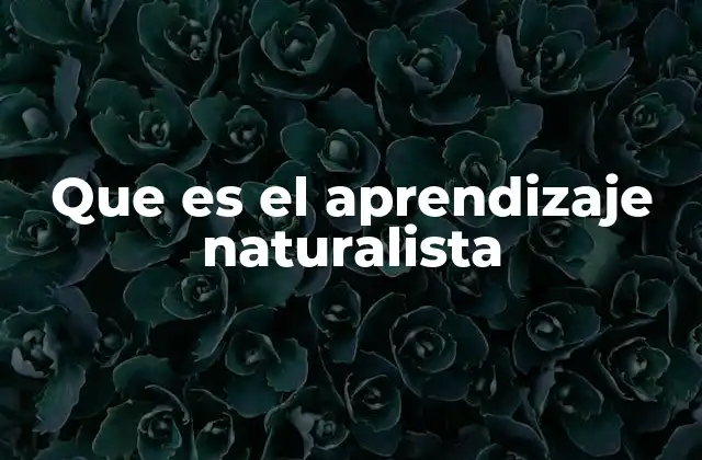 Que es el Aprendizaje Naturalista