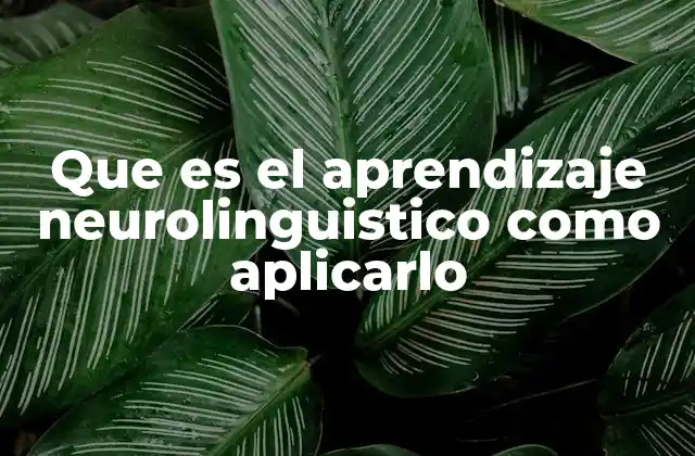 Que es el Aprendizaje Neurolinguistico como Aplicarlo