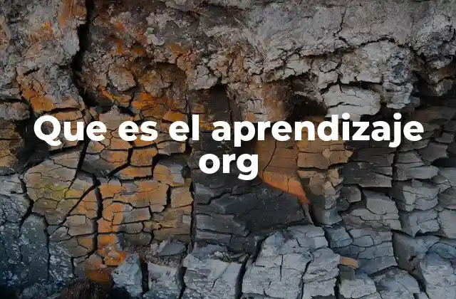 Que es el Aprendizaje Org
