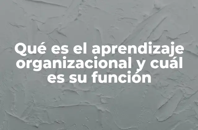 Qué es el Aprendizaje Organizacional y Cuál es Su Función
