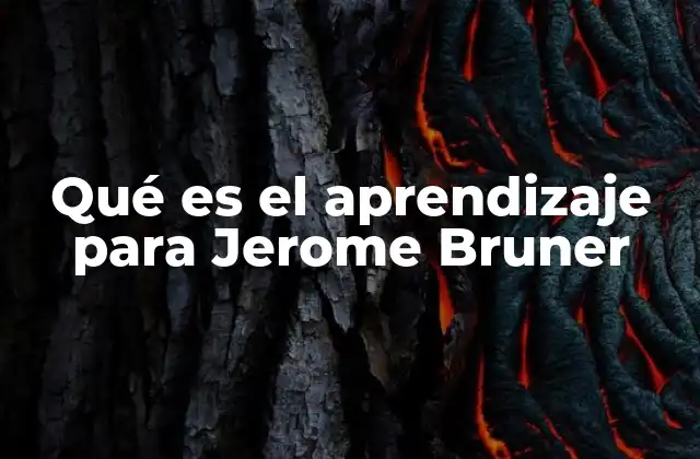 Qué es el Aprendizaje para Jerome Bruner