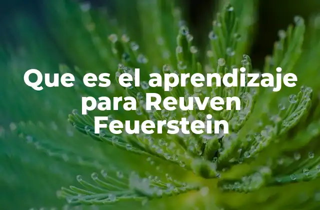 Que es el Aprendizaje para Reuven Feuerstein