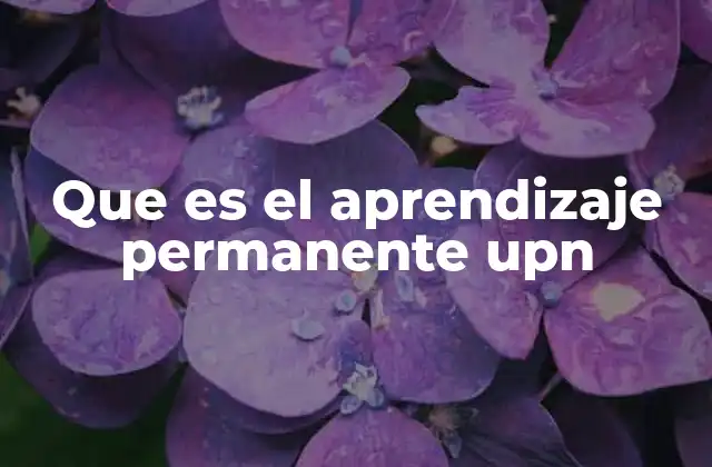 Que es el Aprendizaje Permanente Upn